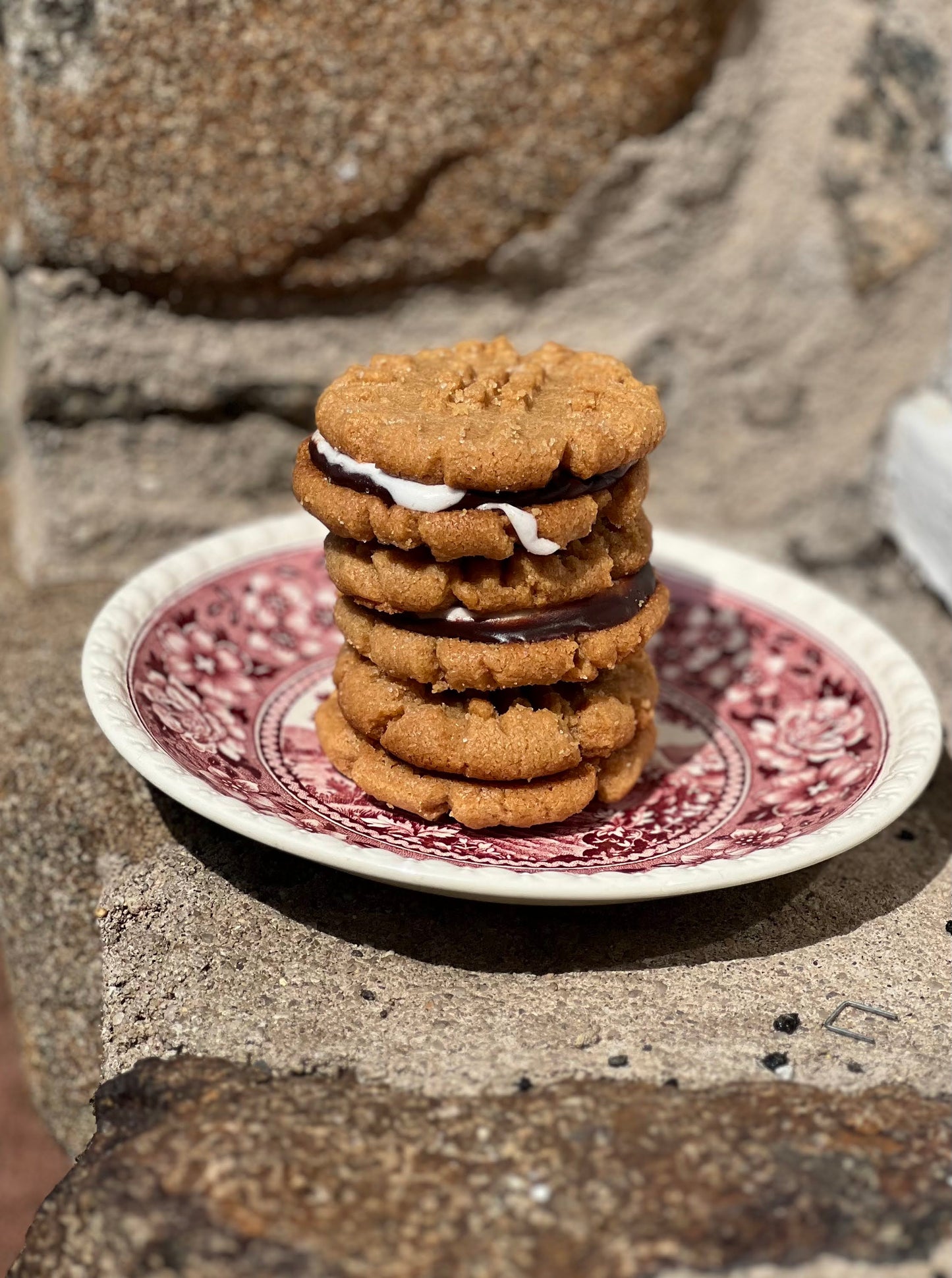 Gluten-Free Peanut Butter S'mores
