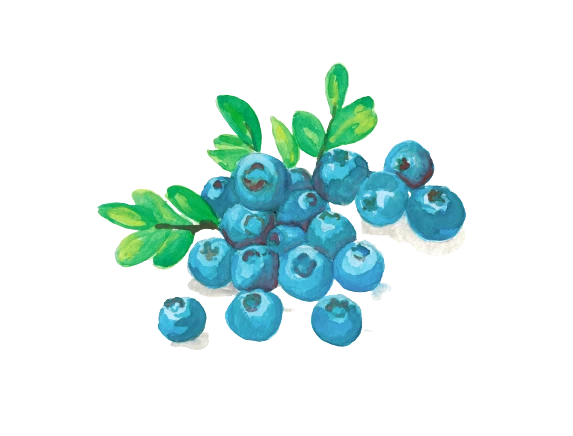 Jams, Jellies & Preserves